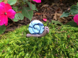 Snail Miniature